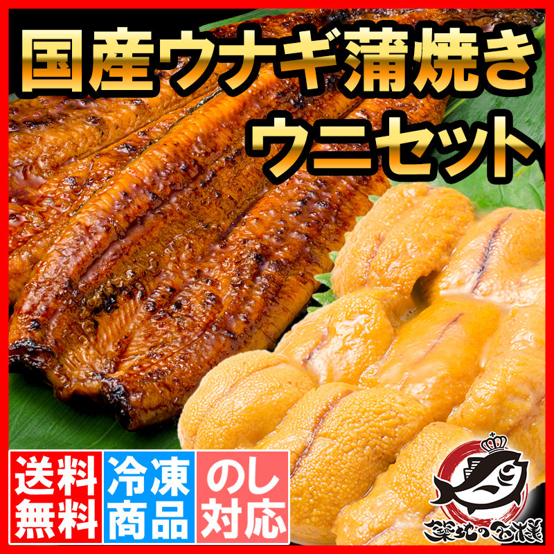 うにうなぎセット <竹> 特大国産うなぎ蒲焼き 平均165g前後×2尾 生ウニ 100g タレ付き 柔らかうなぎと生ウニの贅沢セット【うなぎ ウナギ 鰻 うな丼 うな重 ひつまぶし 土用の丑 ウニ うに ギフト 豊洲市場】