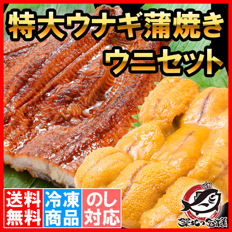 うにうなぎセット <松> 超特大国産うなぎ蒲焼き 平均250g前後×2尾 生ウニ 100g タレ付き 柔らかうなぎと生ウニの贅沢セット【うなぎ ウナギ 鰻 うな丼 うな重 ひつまぶし 土用の丑 ウニ うに ギフト 豊洲市場】