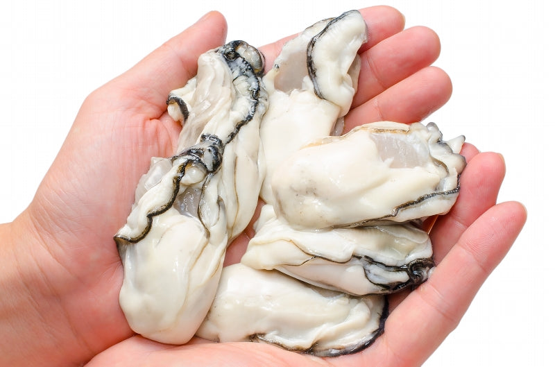 広島産 カキ 牡蠣 2kg 1kg×2 むき身 大粒 2Lサイズ 殻剥き不要&小さくなりにくい加熱用で濃厚な風味 冷凍 生牡蠣 かき カキ 牡蛎 牡蠣鍋 カキフライ 牡蠣フライ 豊洲市場 ギフト