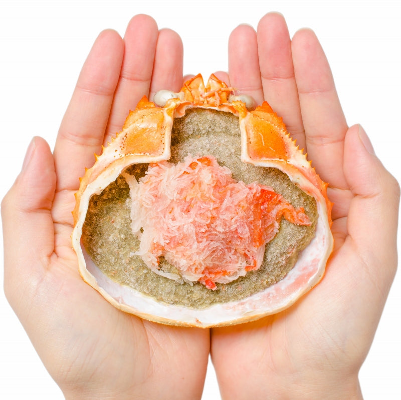 かにみそ甲羅盛り 100g×10個 日本海産の紅ズワイガニを使用!【ズワイガニ ずわいがに かに カニ 蟹 ズワイ かに甲羅盛り 浜焼き かにみそ カニミソ カニ味噌 ギフト】