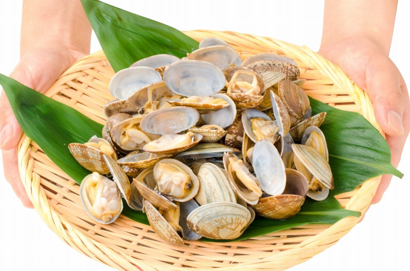 送料無料 あさり アサリ 500g ボイル 殻付き 柔らかく旨味があり、とても良いダシが出ます【浅蜊 あさりごはん クラムチャウダー ボンゴレ あさりバター炒め 深川めし あさりの味噌汁 むき身 業務用 冷凍 あさり料理】