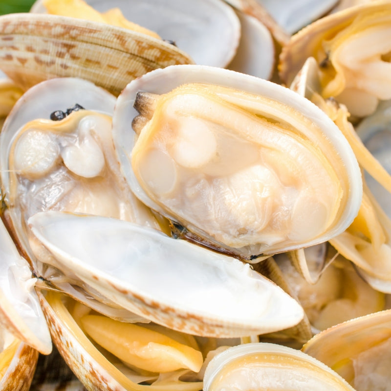 送料無料 あさり アサリ 500g ボイル 殻付き 柔らかく旨味があり、とても良いダシが出ます【浅蜊 あさりごはん クラムチャウダー ボンゴレ あさりバター炒め 深川めし あさりの味噌汁 むき身 業務用 冷凍 あさり料理】