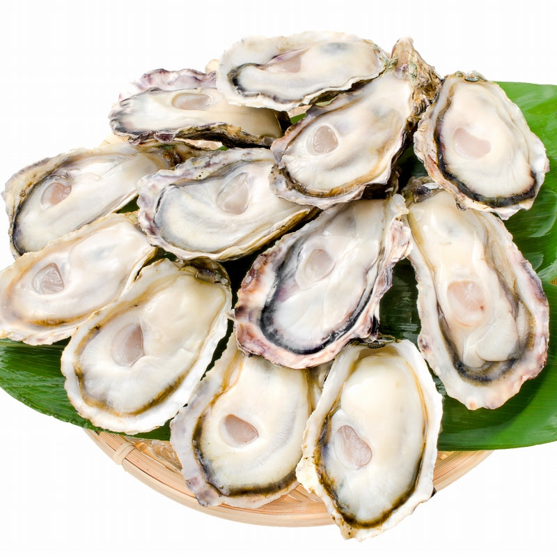 生牡蠣 殻付き 生食用カキ 24個入り 冷凍殻付き牡蠣 生食用 新製法で冷凍なのに生食可能な殻付き牡蠣【冷凍 生ガキ かき カキ 牡蛎 焼き牡蠣 バーベキュー 牡蠣鍋 カキフライ 牡蠣フライ ギフト】