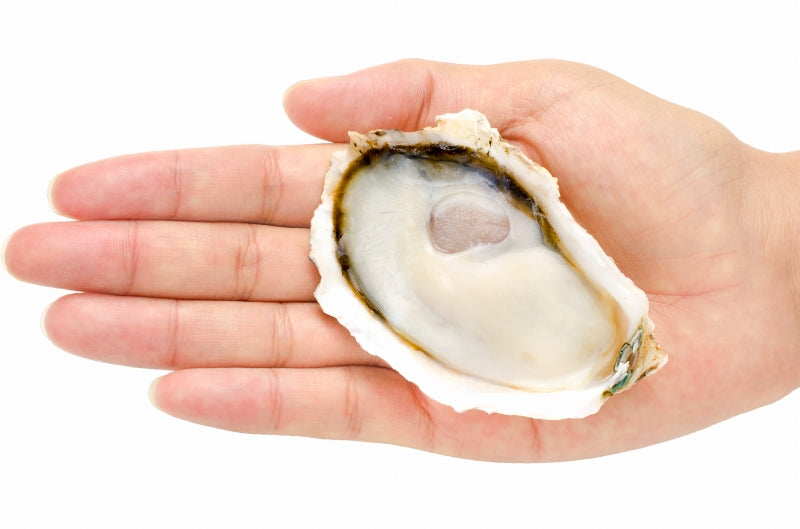 生牡蠣 殻付き 生食用カキ 24個入り 冷凍殻付き牡蠣 生食用 新製法で冷凍なのに生食可能な殻付き牡蠣【冷凍 生ガキ かき カキ 牡蛎 焼き牡蠣 バーベキュー 牡蠣鍋 カキフライ 牡蠣フライ ギフト】