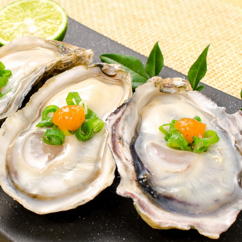 生牡蠣 殻付き 生食用カキ 24個入り 冷凍殻付き牡蠣 生食用 新製法で冷凍なのに生食可能な殻付き牡蠣【冷凍 生ガキ かき カキ 牡蛎 焼き牡蠣 バーベキュー 牡蠣鍋 カキフライ 牡蠣フライ ギフト】