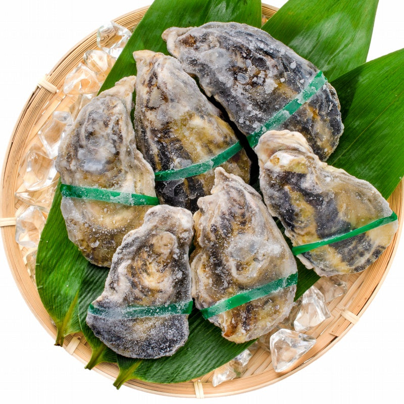 生牡蠣 殻付き 生食用カキ 6個入り 冷凍殻付き牡蠣 生食用 新製法で冷凍なのに生食可能な殻付き牡蠣で濃厚な風味 冷凍 生ガキ かき カキ 牡蛎 焼き牡蠣 バーベキュー 牡蠣鍋 カキフライ 牡蠣フライ 豊洲市場 ギフト