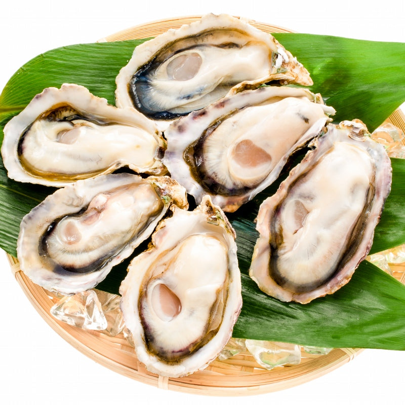 生牡蠣 殻付き 生食用カキ 30個入り 冷凍殻付き牡蠣 生食用 新製法で冷凍なのに生食可能な殻付き牡蠣で濃厚な風味 冷凍 生ガキ かき カキ 牡蛎 焼き牡蠣 バーベキュー 牡蠣鍋 カキフライ 牡蠣フライ 豊洲市場 ギフト