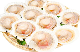 送料無料 海鮮浜焼き 5種セット かに入り 海鮮バーベキューセット 北海道産ほたて10枚 かにみそ甲羅盛り2個 いかおやじ串10本 特大赤海老L1サイズ2kg タラバガニ 5L 1kg