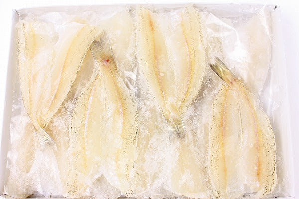送料無料 きす キス開き20尾 550g 開き済みで天ぷらにもすぐ使えます!【きす キス開き キス キス天 きす天 キスのてんぷら 天ぷら 天麩羅 天婦羅 天だね 業務用 豊洲市場 豊洲市場 ギフト】