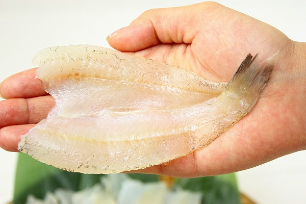 送料無料 きす キス開き20尾 550g 開き済みで天ぷらにもすぐ使えます!【きす キス開き キス キス天 きす天 キスのてんぷら 天ぷら 天麩羅 天婦羅 天だね 業務用 豊洲市場 豊洲市場 ギフト】