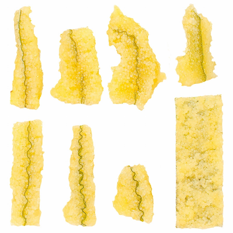 訳あり 子持ち昆布 切り落とし 味付け両面子持ち昆布 500g×2パック 合計1kg 上品な白醤油味でさっぱりとした高級感。塩抜き不要!【子持昆布 天然子持ち昆布 数の子 こんぶ 串揚げ フライ 珍味 おせち料理 寿司ネタ ギフト】 (コピー)