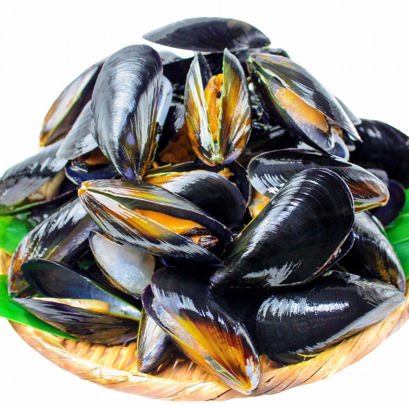 送料無料 ムール貝 ボイル 殻つき 500g 解凍後そのまま食べられます。【輸入食材 豊洲市場 鍋 パスタ パエリア ブイヤベース 香草焼き ワイン蒸し イタリアン スパニッシュ ムール貝通販 ギフト】