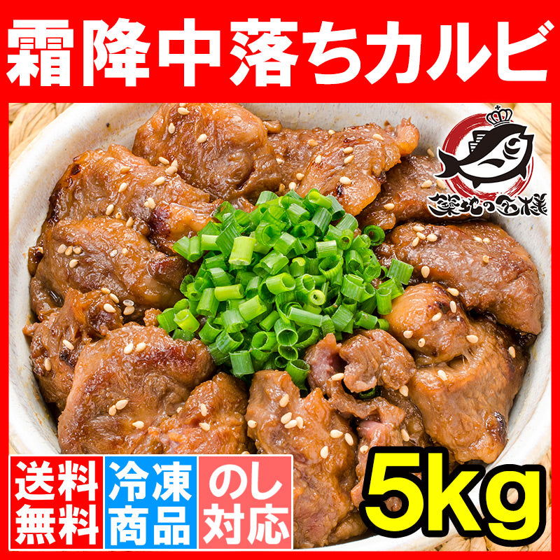【送料無料】 中落ち カルビ 牛カルビ 焼肉 合計 5kg 500g×10パック 業務用 味付け カルビ肉 牛肉 肉 お肉 熟成 霜降 アメリカ産 カナダ産 鉄板焼き ステーキ BBQ バーベキュー お中元 お歳暮 豊洲市場 豊洲市場 ギフト