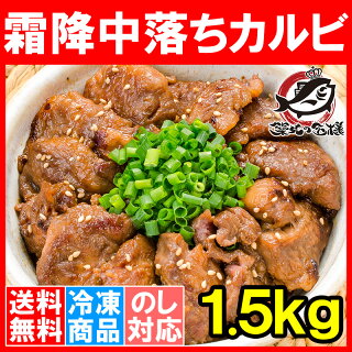 【送料無料】 中落ち カルビ 牛カルビ 焼肉 合計 1.5kg 500g×3パック 業務用 味付け カルビ肉 牛肉 肉 お肉 熟成 霜降 アメリカ産 カナダ産 鉄板焼き ステーキ BBQ バーベキュー お中元 お歳暮 豊洲市場 豊洲市場 ギフト