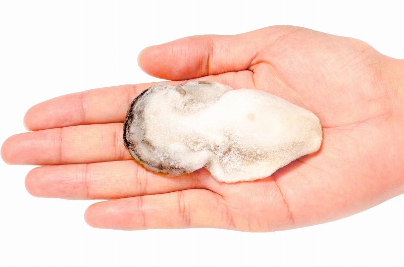 送料無料 生牡蠣 2kg 生食用カキ 冷凍時1kg 解凍後850g×2パック 冷凍むき身牡蠣 生食用 新製法で冷凍なのに生食可能な牡蠣で濃厚な風味【冷凍 生ガキ かき カキ 牡蛎 バーベキュー 牡蠣鍋 カキフライ 牡蠣フライ ギフト】