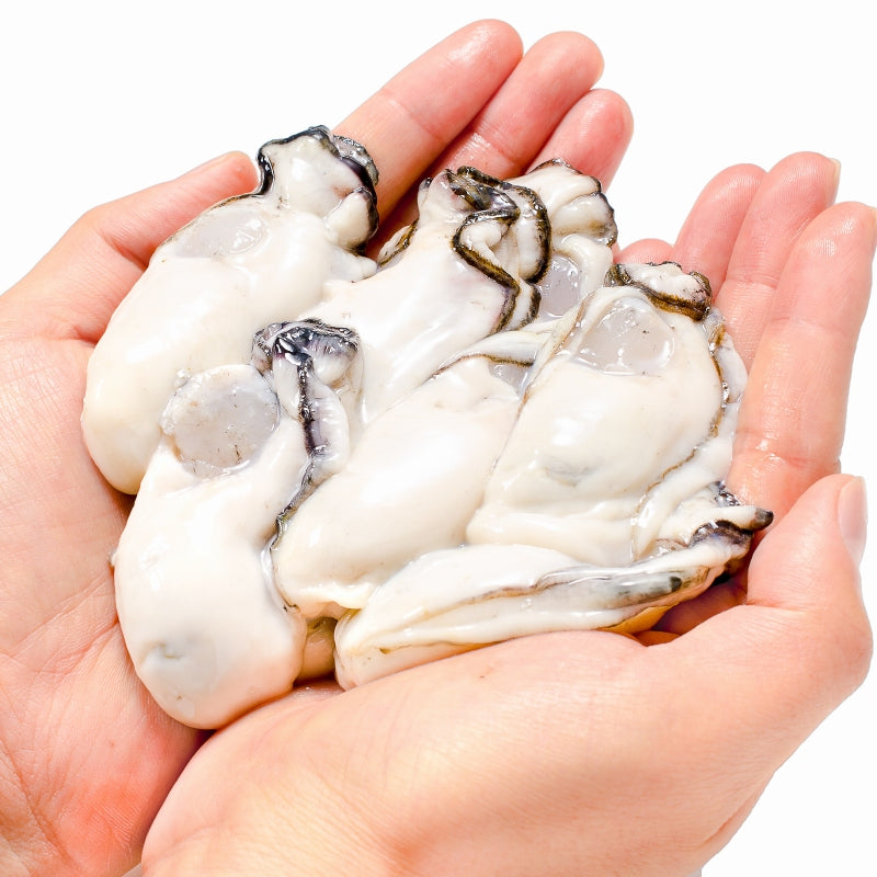 送料無料 生牡蠣 2kg 生食用カキ 冷凍時1kg 解凍後850g×2パック 冷凍むき身牡蠣 生食用 新製法で冷凍なのに生食可能な牡蠣で濃厚な風味【冷凍 生ガキ かき カキ 牡蛎 バーベキュー 牡蠣鍋 カキフライ 牡蠣フライ ギフト】