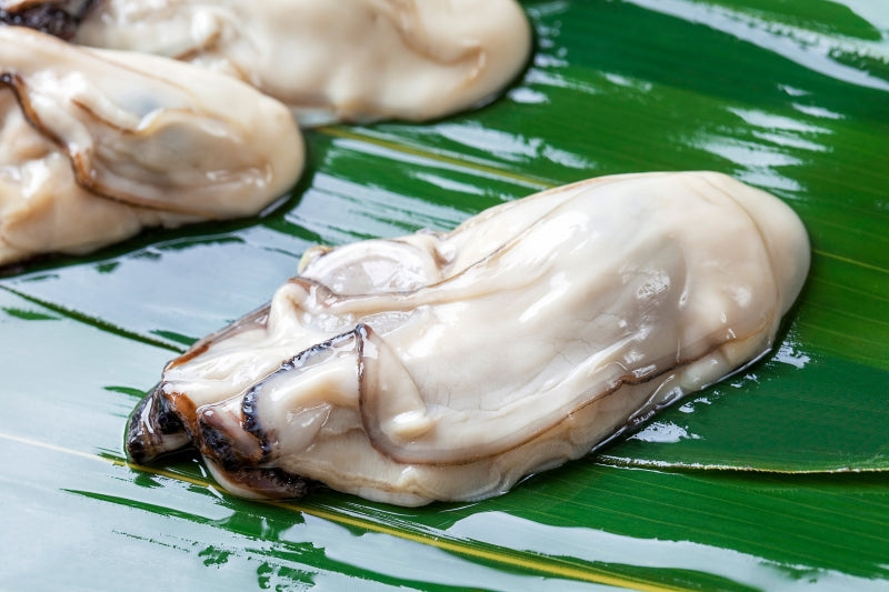 生牡蠣 殻付き 生食用カキ 24個入り 冷凍殻付き牡蠣 生食用 新製法で冷凍なのに生食可能な殻付き牡蠣【冷凍 生ガキ かき カキ 牡蛎 焼き牡蠣 バーベキュー 牡蠣鍋 カキフライ 牡蠣フライ ギフト】