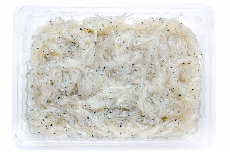 送料無料 生しらす 生シラス100g 1〜2人前 超新鮮な無添加の国産天然生しらす 極上の生しらす丼をご家庭で。【冷凍生しらす 生シラス丼 駿河湾産 江ノ島 鎌倉 静岡産 しらすおろし】