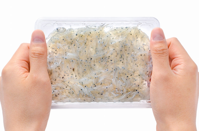 送料無料 生しらす 生シラス500g 100g×5パック 8〜10人前 超新鮮な無添加の国産天然生しらす 極上の生しらす丼をご家庭で。【冷凍生しらす 生シラス丼 駿河湾産 江ノ島 鎌倉 静岡産】