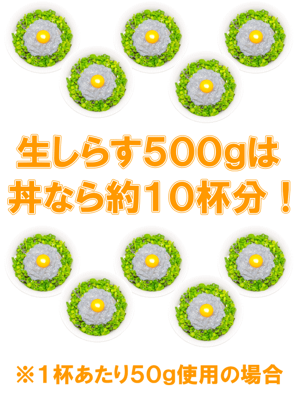 送料無料 生しらす 生シラス500g 100g×5パック 8〜10人前 超新鮮な無添加の国産天然生しらす 極上の生しらす丼をご家庭で。【冷凍生しらす 生シラス丼 駿河湾産 江ノ島 鎌倉 静岡産】