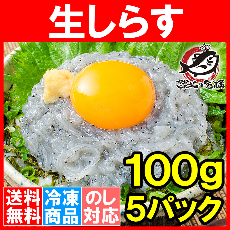 送料無料 生しらす 生シラス500g 100g×5パック 8〜10人前 超新鮮な無添加の国産天然生しらす 極上の生しらす丼をご家庭で。【冷凍生しらす 生シラス丼 駿河湾産 江ノ島 鎌倉 静岡産】