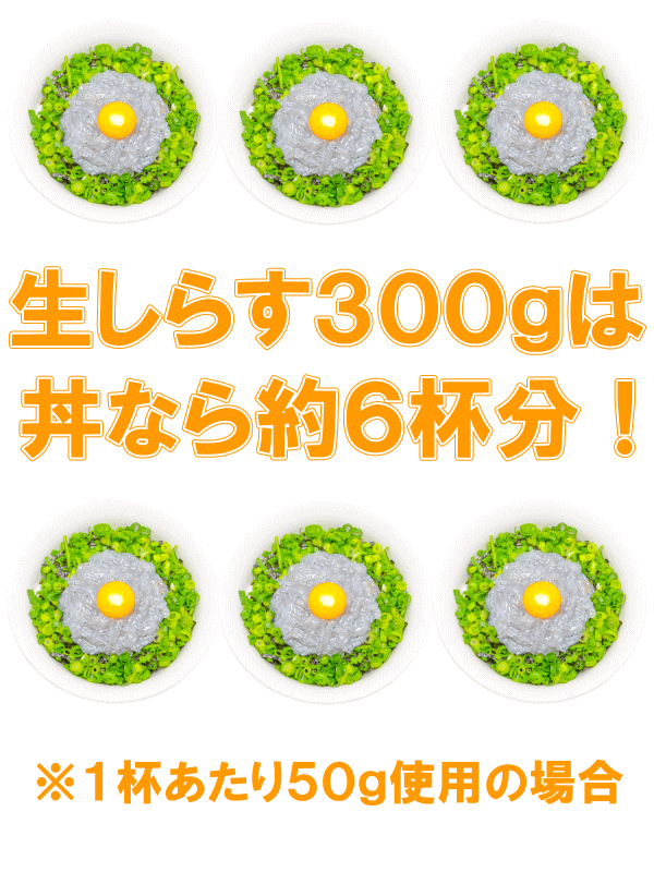 送料無料 生しらす 生シラス300g 100g×3パック 3〜6人前 超新鮮な無添加の国産天然生しらす 極上の生しらす丼をご家庭で。【冷凍生しらす 生シラス丼 駿河湾産 江ノ島 鎌倉 静岡産】