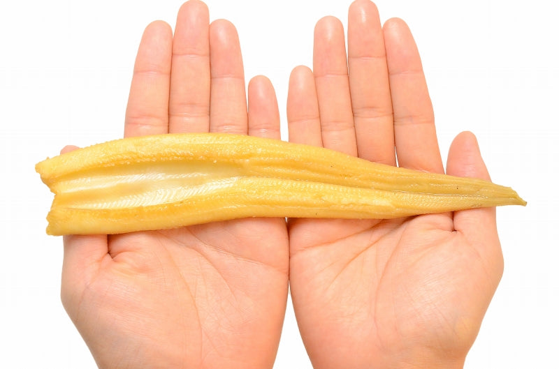 送料無料 やわらか煮穴子 合計16尾 8尾×2パック 合計500g 特大20cm前後 【穴子 あなご アナゴ 煮あなご 煮アナゴ 煮穴子 穴子丼 あなご丼 寿司ねた アナゴ箱飯 穴子1本握り 蒲焼き 江戸前寿司 ギフト】