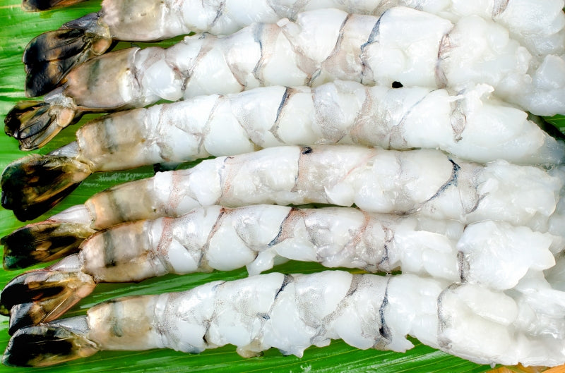 送料無料 伸ばし海老 伸ばしエビ ブラックタイガー 10尾 8-12 加熱用 生海老 尾付きムキ海老 冷凍海老 エビフライ 海老フライ 天ぷら えび エビ 海老 豊洲市場 業務用 冷凍食品 ギフトrn