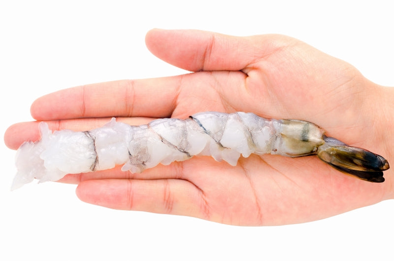 送料無料 伸ばし海老 伸ばしエビ ブラックタイガー 10尾 8-12 加熱用 生海老 尾付きムキ海老 冷凍海老 エビフライ 海老フライ 天ぷら えび エビ 海老 豊洲市場 業務用 冷凍食品 ギフトrn