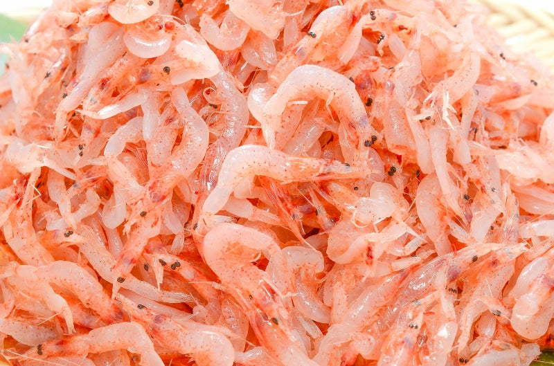 送料無料 桜えび お刺身用生桜エビ1kg 台湾産 冷凍桜海老 業務用メガ盛り。ご家庭で桜エビをたっぷりと 【桜えび 桜エビ 桜海老 さくらえび サクラエビ 豊饒の海 華さくら 豊洲市場 刺身 海鮮丼】