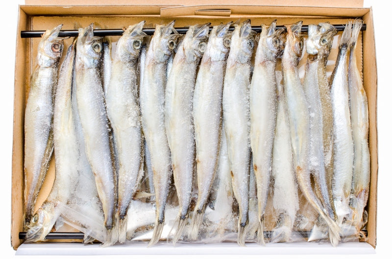 送料無料 子持ちししゃも 子持ちからふとししゃも 大サイズ 1箱20尾 ×3箱 業務用 【ししゃも シシャモ 樺太シシャモ カラフトシシャモ ノルウェー産 子持ちししゃも 柳葉魚 カルシウム 焼魚 食べる小魚 酒の肴 豊洲市場 豊洲市場 ギフト】