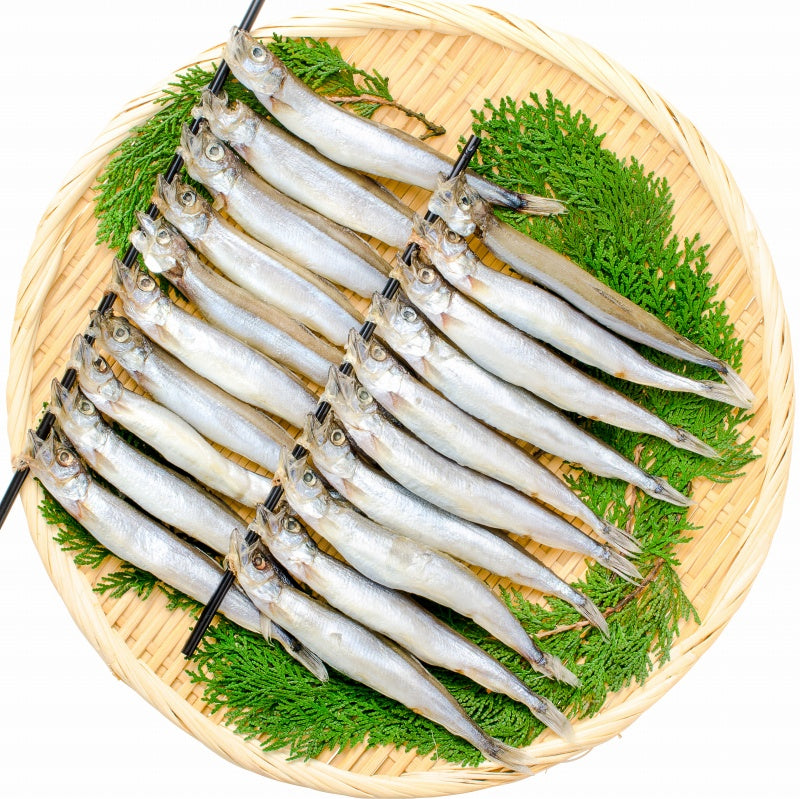 送料無料 子持ちししゃも 子持ちからふとししゃも 大サイズ 1箱20尾 ×3箱 業務用 【ししゃも シシャモ 樺太シシャモ カラフトシシャモ ノルウェー産 子持ちししゃも 柳葉魚 カルシウム 焼魚 食べる小魚 酒の肴 豊洲市場 豊洲市場 ギフト】