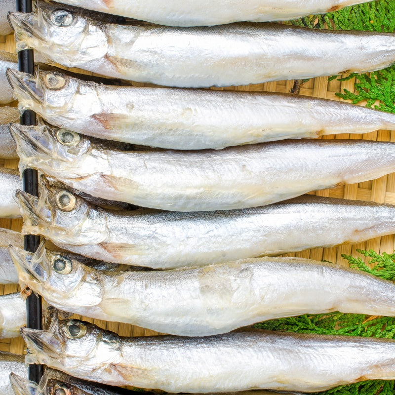 送料無料 子持ちししゃも 子持ちからふとししゃも 大サイズ20尾 業務用1箱 【ししゃも シシャモ 樺太シシャモ カラフトシシャモ ノルウェー産 子持ちししゃも 柳葉魚 カルシウム 焼魚 食べる小魚 酒の肴 豊洲 ギフト】