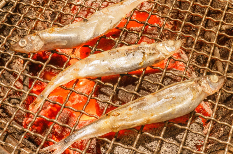 送料無料 子持ちししゃも 子持ちからふとししゃも 大サイズ 1箱20尾 ×3箱 業務用 【ししゃも シシャモ 樺太シシャモ カラフトシシャモ ノルウェー産 子持ちししゃも 柳葉魚 カルシウム 焼魚 食べる小魚 酒の肴 豊洲市場 豊洲市場 ギフト】