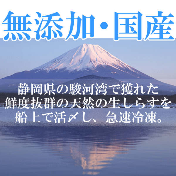 送料無料 生しらす 生シラス500g 100g×5パック 8〜10人前 超新鮮な無添加の国産天然生しらす 極上の生しらす丼をご家庭で。【冷凍生しらす 生シラス丼 駿河湾産 江ノ島 鎌倉 静岡産】