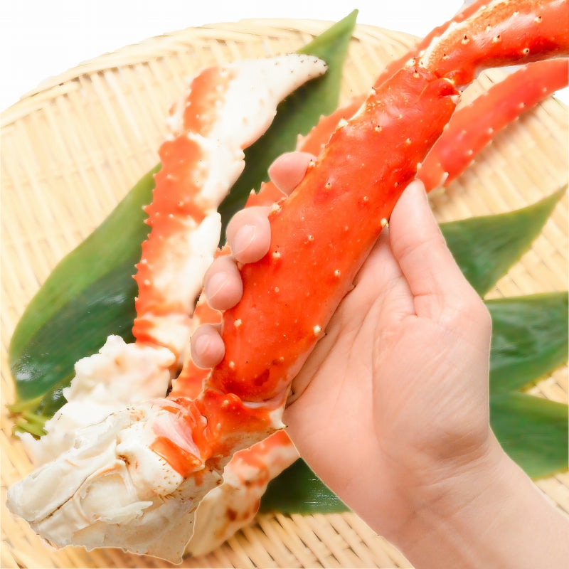 タラバガニ たらばがに 超極太7Lサイズ 冷凍総重量1.3kg前後×1肩 正規品 ボイル冷凍 足 肩セクション シュリンク包装 【タラバガニ たらばがに かに カニ 蟹 たらば蟹 タラバ蟹 豊洲 カニ鍋 焼きガニ 脚 ギフト】