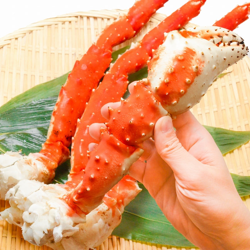 タラバガニ たらばがに 超極太7Lサイズ 冷凍総重量1.3kg前後×1肩 正規品 ボイル冷凍 足 肩セクション シュリンク包装 【タラバガニ たらばがに かに カニ 蟹 たらば蟹 タラバ蟹 豊洲 カニ鍋 焼きガニ 脚 ギフト】