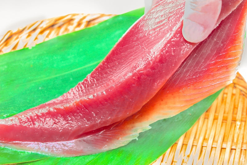 訳あり お刺身 トロかつお 500g 詰め合わせ 100〜350g前後が2〜4柵 超新鮮なトロカツオ【初がつお 戻りがつお カツオたたき 鰹たたき カツオ かつお 豊洲市場 レシピ】