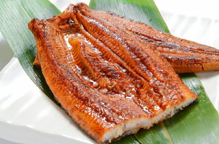 超特大 国産うなぎ蒲焼き 平均250g前後×1尾 タレ付き 柔らかうなぎを丁寧に焼き上げた まさに国産の最高級品質。デパ地下にも卸しています【うなぎ ウナギ 鰻 うな丼 うな重 ひつまぶし 土用の丑 ギフト】