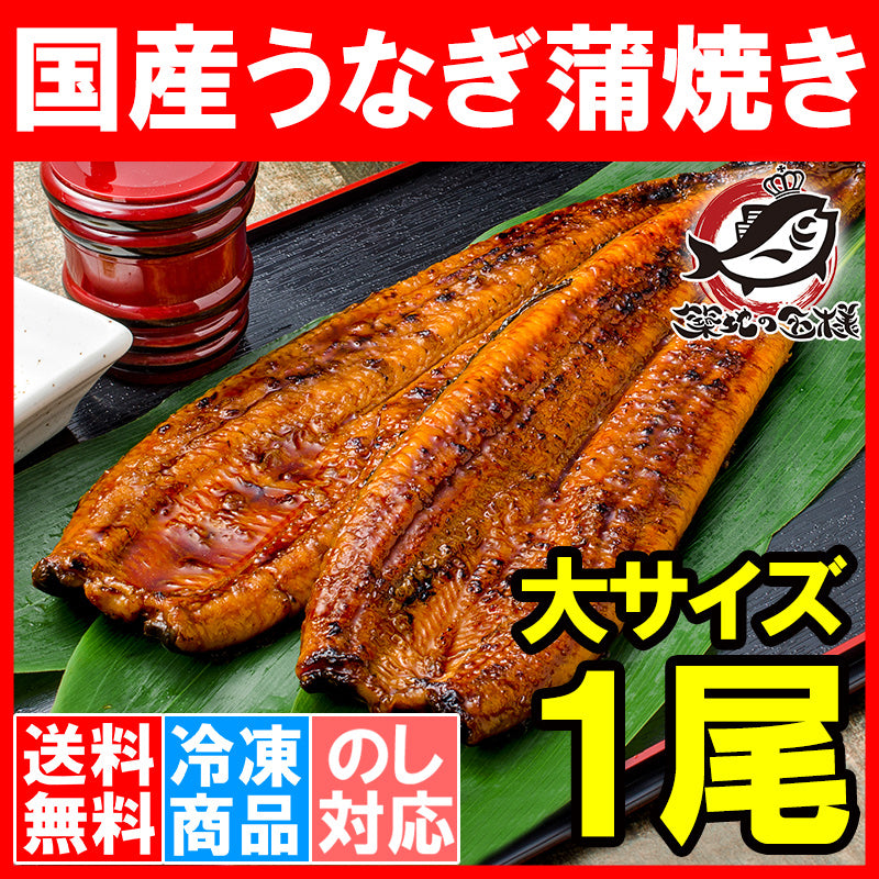 送料無料 国産うなぎ蒲焼き 大サイズ 平均165g前後×1尾 愛知 宮崎 鹿児島県産等 まさに国産の最高級品質、柔らかうなぎ!デパ地下にも卸しています。【ウナギ蒲焼き 鰻蒲焼き 国内産 土用の丑 レシピ 贈り物 ギフト 豊洲市場 豊洲市場】