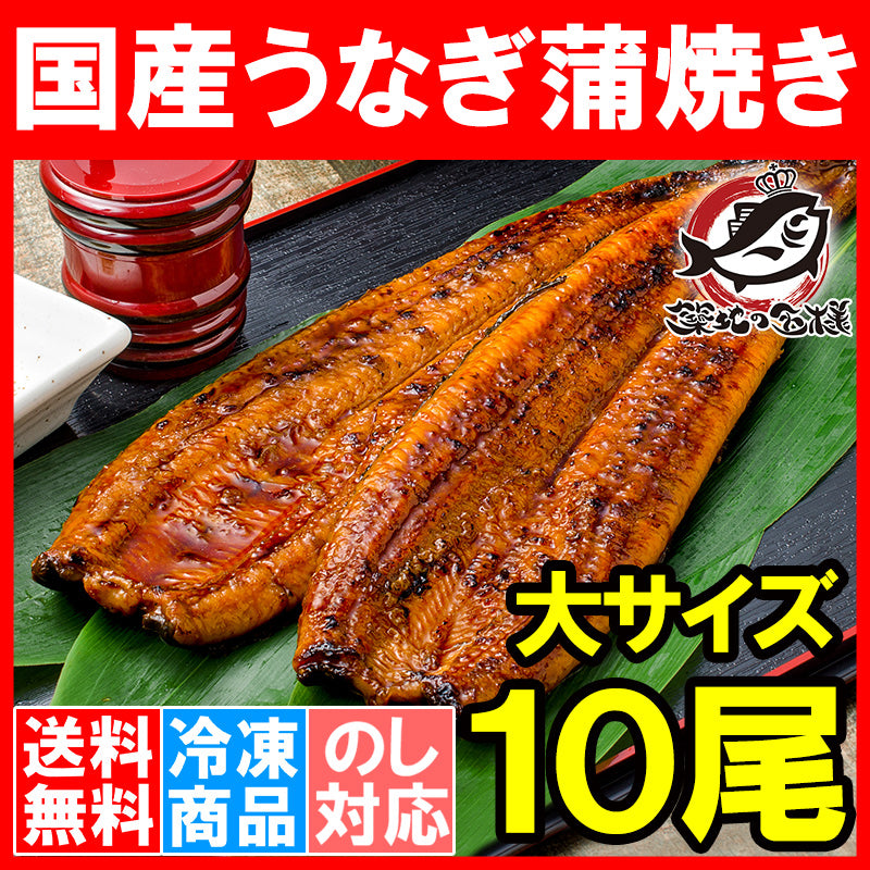 送料無料 国産うなぎ蒲焼き 大サイズ 平均165g前後×10尾 愛知 宮崎 鹿児島県産等 まさに国産の最高級品質、柔らかうなぎ!デパ地下にも卸しています。【ウナギ蒲焼き 鰻蒲焼き 国内産 土用の丑 レシピ 贈り物 ギフト 豊洲市場 豊洲市場】