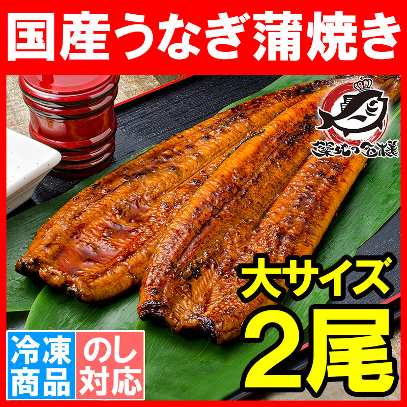 送料無料 国産うなぎ蒲焼き 大サイズ 平均165g前後×2尾 愛知 宮崎 鹿児島県産等 まさに国産の最高級品質、柔らかうなぎ!デパ地下にも卸しています。【ウナギ蒲焼き 鰻蒲焼き 国内産 土用の丑 レシピ 贈り物 ギフト 豊洲市場 豊洲市場】