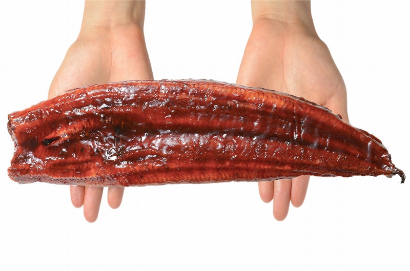 超特大 国産うなぎ蒲焼き 平均250g前後×1尾 タレ付き 柔らかうなぎを丁寧に焼き上げた まさに国産の最高級品質。デパ地下にも卸しています【うなぎ ウナギ 鰻 うな丼 うな重 ひつまぶし 土用の丑 ギフト】