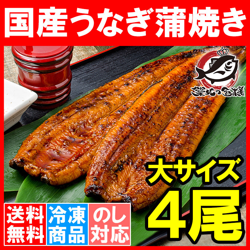 送料無料 国産うなぎ蒲焼き 大サイズ 平均165g前後×4尾 愛知 宮崎 鹿児島県産等 まさに国産の最高級品質、柔らかうなぎ!デパ地下にも卸しています。【ウナギ蒲焼き 鰻蒲焼き 国内産 土用の丑 レシピ 贈り物 ギフト 豊洲市場 豊洲市場】
