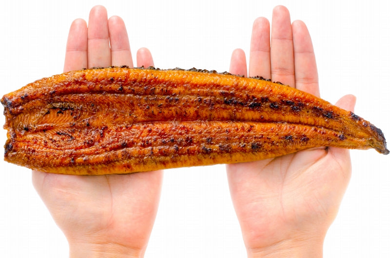 送料無料 国産うなぎ蒲焼き 大サイズ 平均165g前後×2尾 愛知 宮崎 鹿児島県産等 まさに国産の最高級品質、柔らかうなぎ!デパ地下にも卸しています。【ウナギ蒲焼き 鰻蒲焼き 国内産 土用の丑 レシピ 贈り物 ギフト 豊洲市場 豊洲市場】
