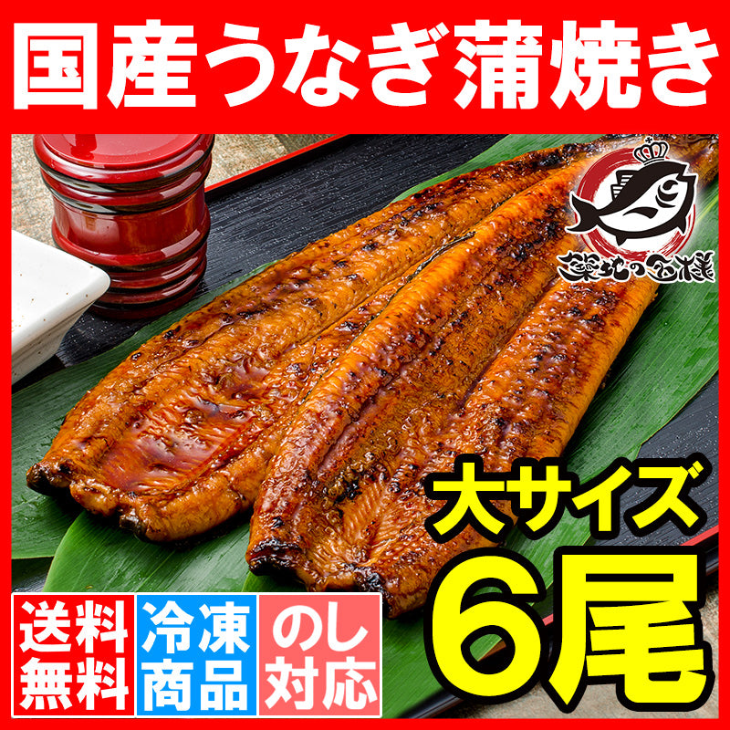 送料無料 国産うなぎ蒲焼き 大サイズ 平均165g前後×6尾 愛知 宮崎 鹿児島県産等 まさに国産の最高級品質、柔らかうなぎ!デパ地下にも卸しています。【ウナギ蒲焼き 鰻蒲焼き 国内産 土用の丑 レシピ 贈り物 ギフト 豊洲市場 豊洲市場】