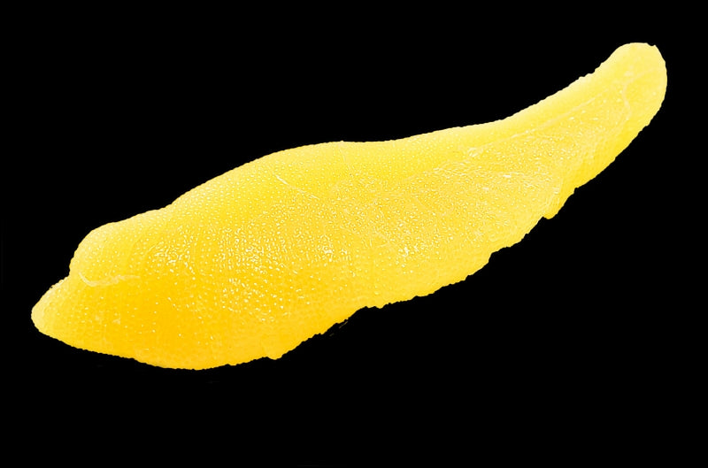 数の子 味付け数の子 400g 上品な定番かつお風味のかずの子。大きい丸ごと一本もの 贈答品 ギフトに最適な化粧箱入り【かずのこ 数の子 カズノコ 豊洲 ギフト 海鮮おせち 贈答用】