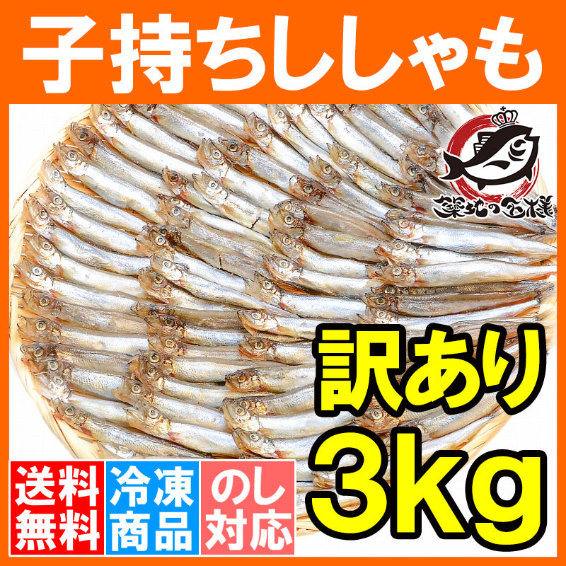 送料無料 訳あり ししゃも 3kg 1kg×3袋 業務用子持ちシシャモ 【樺太シシャモ カラフトシシャモ カペリン 柳葉魚 ノルウェー産 中国加工 ししゃもフライ 唐揚げ 訳アリ わけあり ワケアリ ギフト】r
