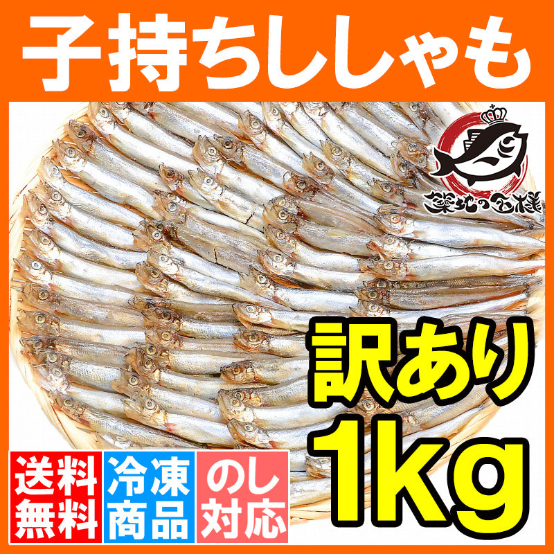 送料無料 訳あり ししゃも 子持ちシシャモ 業務用1kg 【樺太シシャモ カラフトシシャモ カペリン 柳葉魚 ノルウェー産 中国加工 ししゃもフライ 唐揚げ 訳アリ わけあり ワケアリ ギフトr