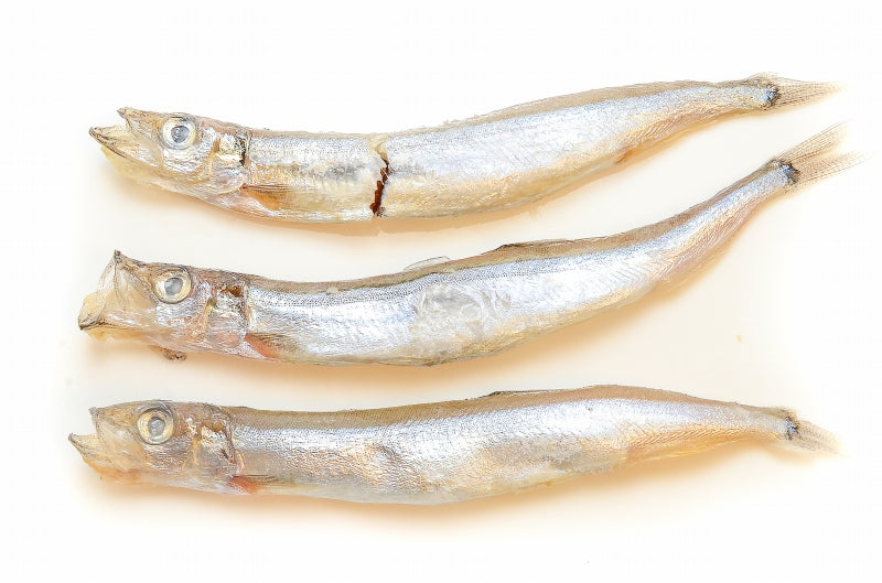 送料無料 訳あり ししゃも 子持ちシシャモ 業務用1kg 【樺太シシャモ カラフトシシャモ カペリン 柳葉魚 ノルウェー産 中国加工 ししゃもフライ 唐揚げ 訳アリ わけあり ワケアリ ギフトr